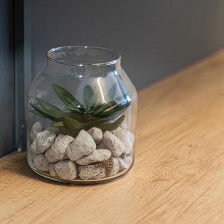 Apartament Delux باكاو المظهر الخارجي الصورة